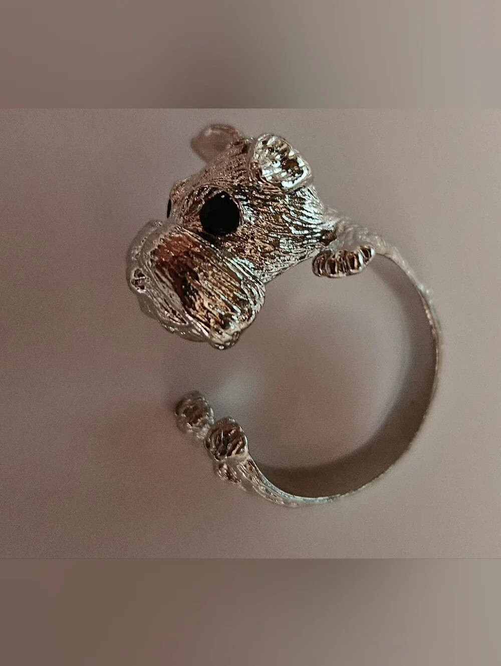 Schnauzer Dog Ring